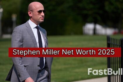 stephen miller net worth